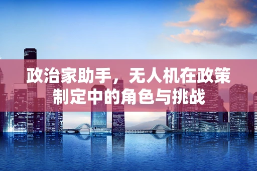 政治家助手，无人机在政策制定中的角色与挑战