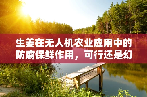生姜在无人机农业应用中的防腐保鲜作用，可行还是幻想？