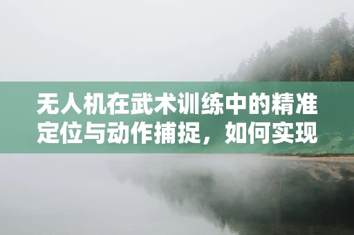 无人机在武术训练中的精准定位与动作捕捉，如何实现高效教学？