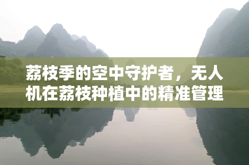 荔枝季的空中守护者，无人机在荔枝种植中的精准管理挑战