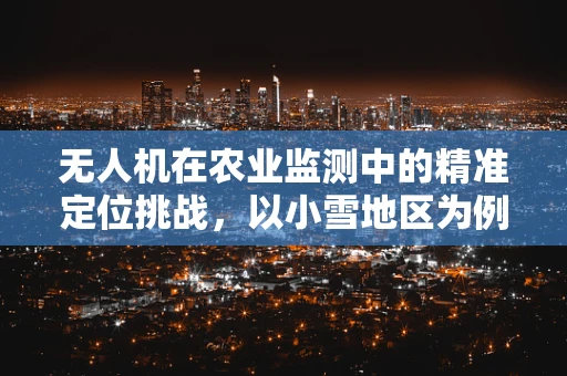 无人机在农业监测中的精准定位挑战，以小雪地区为例