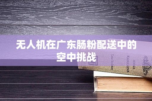 无人机在广东肠粉配送中的空中挑战