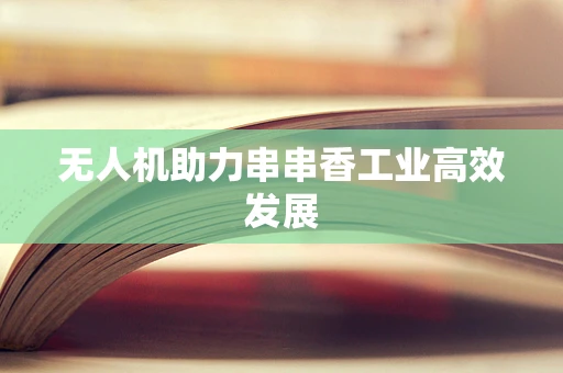 无人机助力串串香工业高效发展