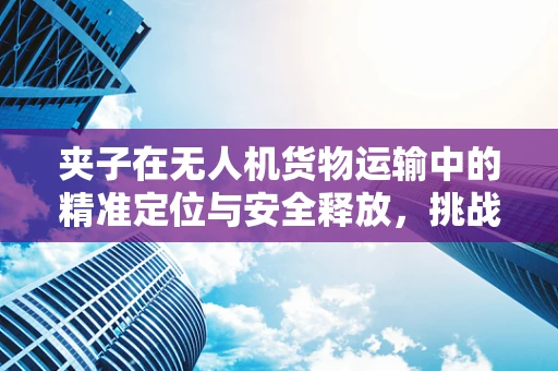 夹子在无人机货物运输中的精准定位与安全释放，挑战与解决方案