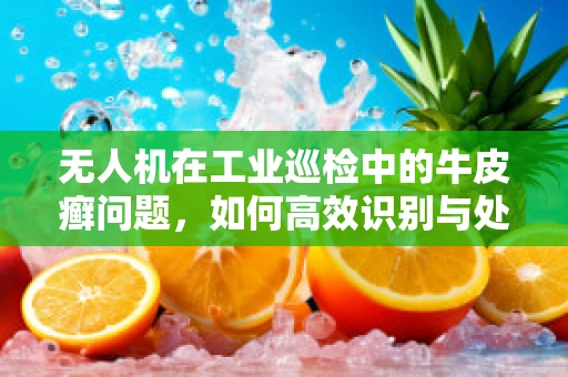 无人机在工业巡检中的牛皮癣问题，如何高效识别与处理？