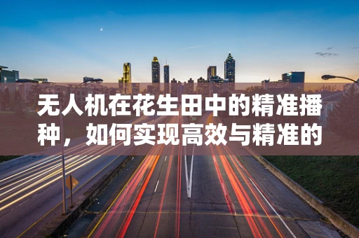 无人机在花生田中的精准播种，如何实现高效与精准的双重飞跃？