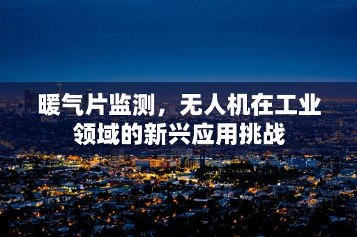 暖气片监测，无人机在工业领域的新兴应用挑战