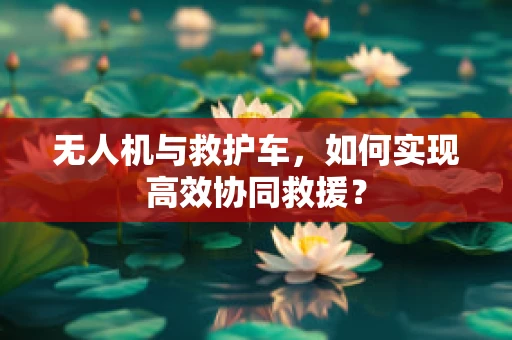 无人机与救护车，如何实现高效协同救援？
