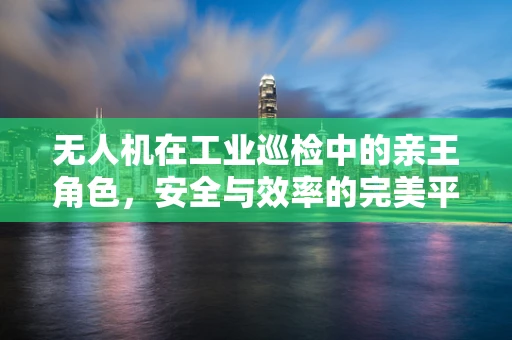 无人机在工业巡检中的亲王角色，安全与效率的完美平衡？