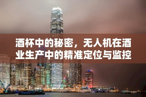 酒杯中的秘密，无人机在酒业生产中的精准定位与监控