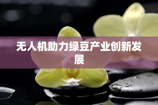 无人机助力绿豆产业创新发展
