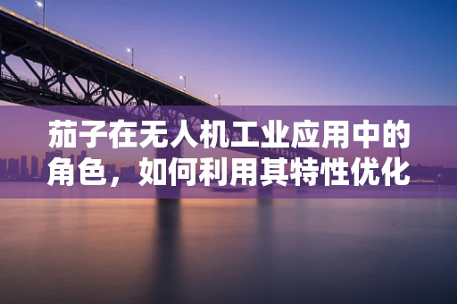茄子在无人机工业应用中的角色，如何利用其特性优化作物监测？
