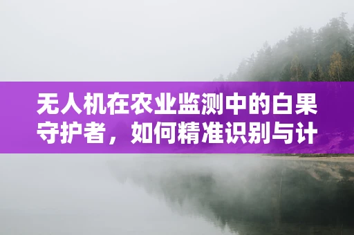 无人机在农业监测中的白果守护者，如何精准识别与计数？