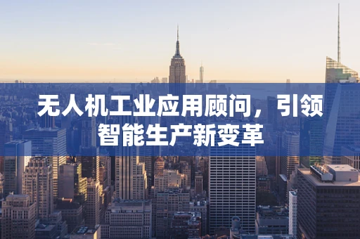 无人机工业应用顾问，引领智能生产新变革