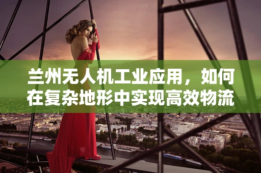 兰州无人机工业应用，如何在复杂地形中实现高效物流配送？