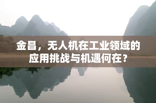 金昌，无人机在工业领域的应用挑战与机遇何在？