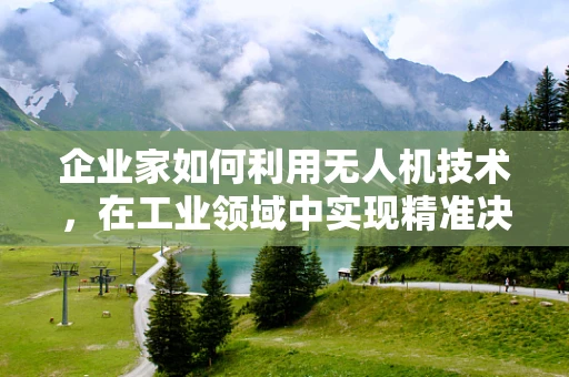 企业家如何利用无人机技术，在工业领域中实现精准决策？