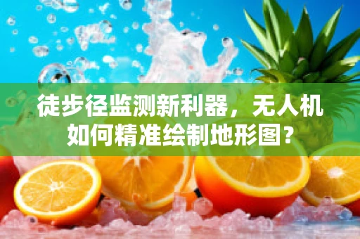 徒步径监测新利器，无人机如何精准绘制地形图？