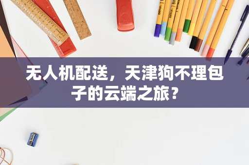 无人机配送，天津狗不理包子的云端之旅？