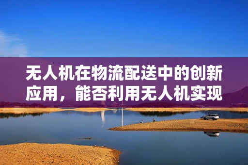 无人机在物流配送中的创新应用，能否利用无人机实现洗衣液的高效配送？