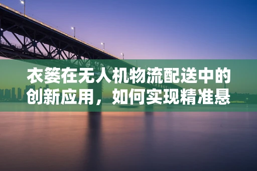 衣篓在无人机物流配送中的创新应用，如何实现精准悬挂与安全运输？