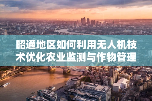 昭通地区如何利用无人机技术优化农业监测与作物管理？