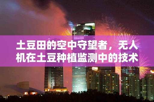 土豆田的空中守望者，无人机在土豆种植监测中的技术挑战