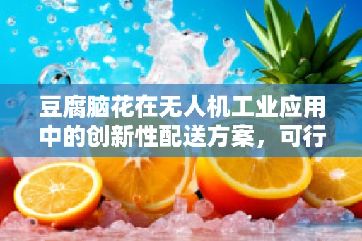 豆腐脑花在无人机工业应用中的创新性配送方案，可行吗？