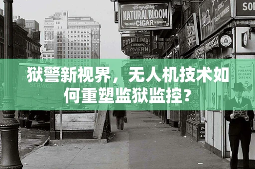 狱警新视界，无人机技术如何重塑监狱监控？