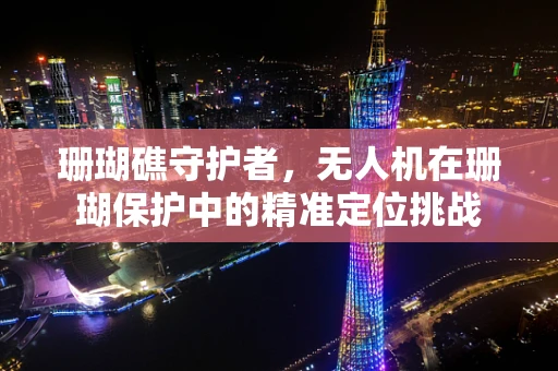 珊瑚礁守护者，无人机在珊瑚保护中的精准定位挑战