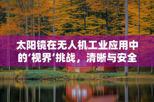 太阳镜在无人机工业应用中的‘视界’挑战，清晰与安全的平衡？