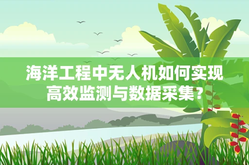 海洋工程中无人机如何实现高效监测与数据采集？