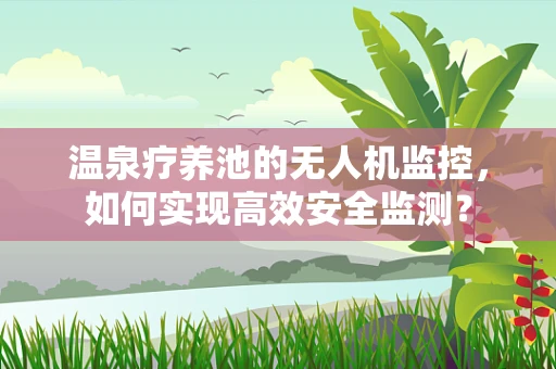 温泉疗养池的无人机监控，如何实现高效安全监测？