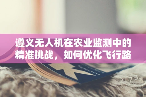 遵义无人机在农业监测中的精准挑战，如何优化飞行路径以提升监测效率？
