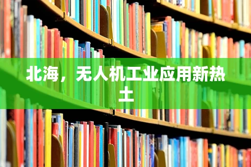 北海，无人机工业应用新热土