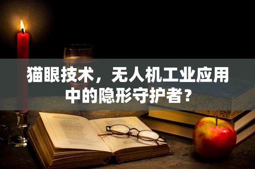 猫眼技术，无人机工业应用中的隐形守护者？