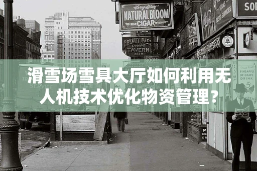 滑雪场雪具大厅如何利用无人机技术优化物资管理？
