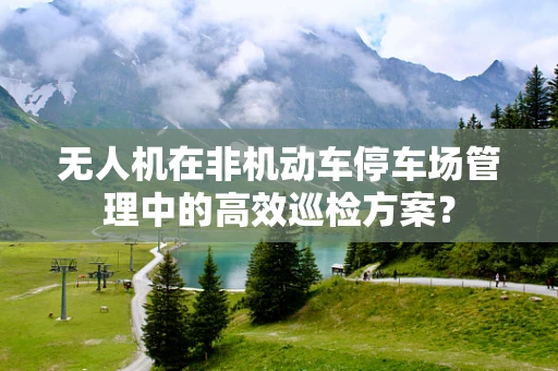 无人机在非机动车停车场管理中的高效巡检方案？