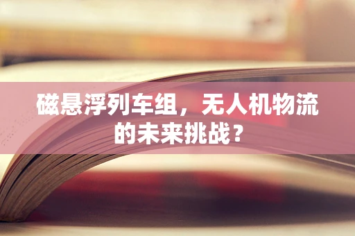 磁悬浮列车组，无人机物流的未来挑战？