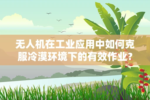 无人机在工业应用中如何克服冷漠环境下的有效作业？