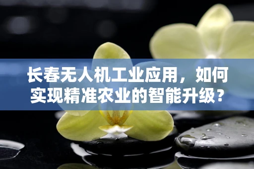 长春无人机工业应用，如何实现精准农业的智能升级？