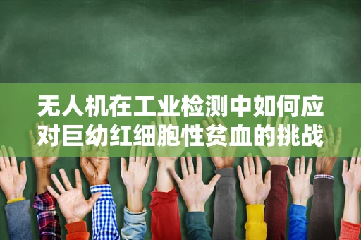 无人机在工业检测中如何应对巨幼红细胞性贫血的挑战？