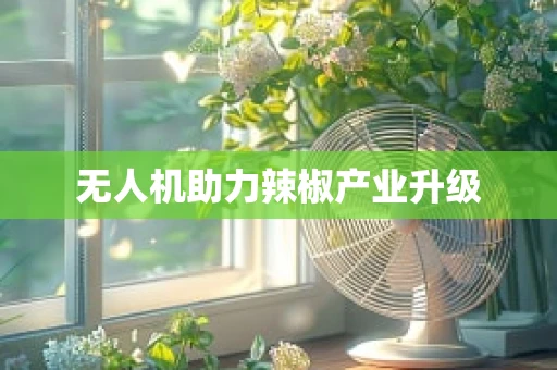 无人机助力辣椒产业升级
