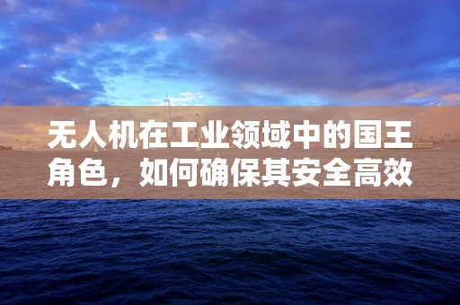无人机在工业领域中的国王角色，如何确保其安全高效地执行任务？