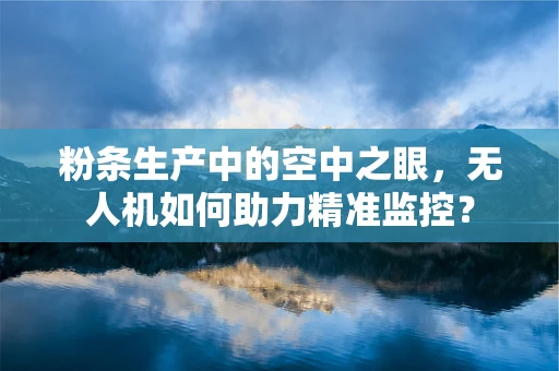 粉条生产中的空中之眼，无人机如何助力精准监控？