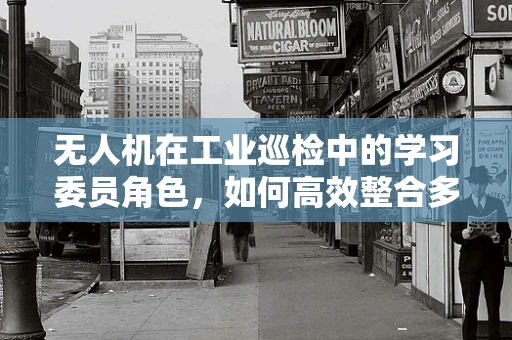 无人机在工业巡检中的学习委员角色，如何高效整合多源数据？