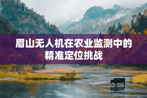 眉山无人机在农业监测中的精准定位挑战