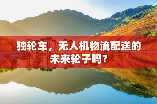 独轮车，无人机物流配送的未来轮子吗？