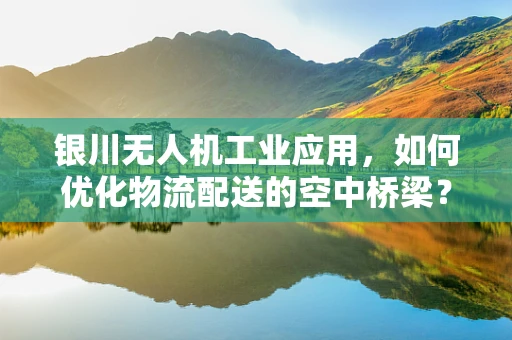 银川无人机工业应用，如何优化物流配送的空中桥梁？