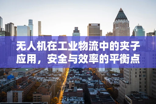 无人机在工业物流中的夹子应用，安全与效率的平衡点在哪里？